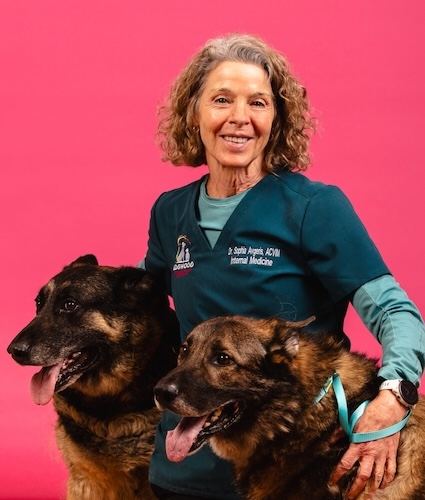 Dr Sophia Avgeris