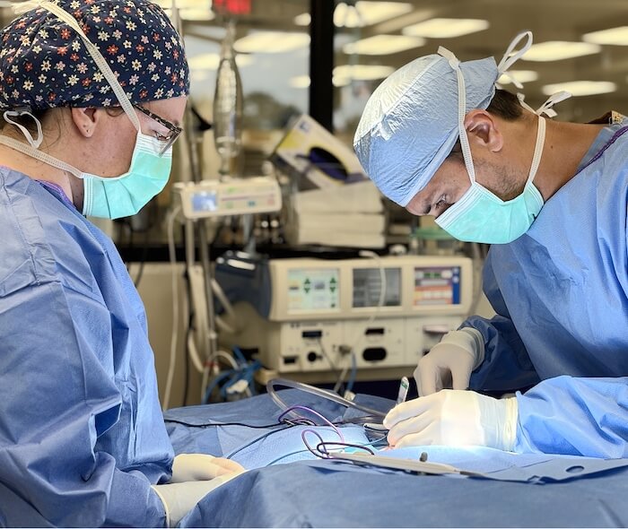 Emergency pet surgery near me