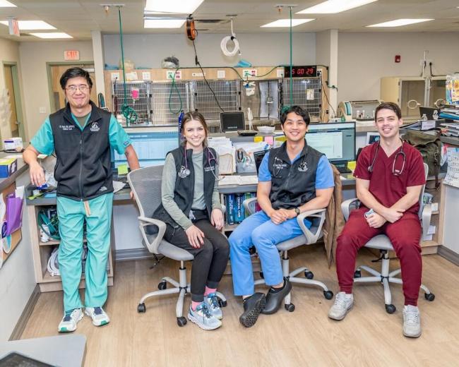Dogwood Veterinary Specialty and Emergency care services