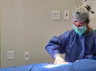 TPLO Surgery for Dogs: What Pet Owners Should Know