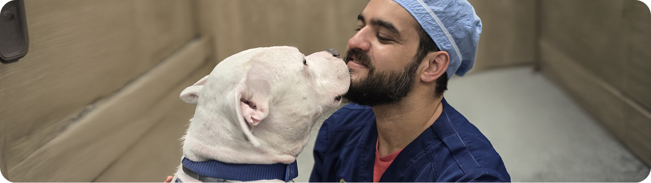 Dogwood Staff with a Pet