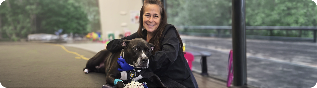 Dogwood Staff with a Pet