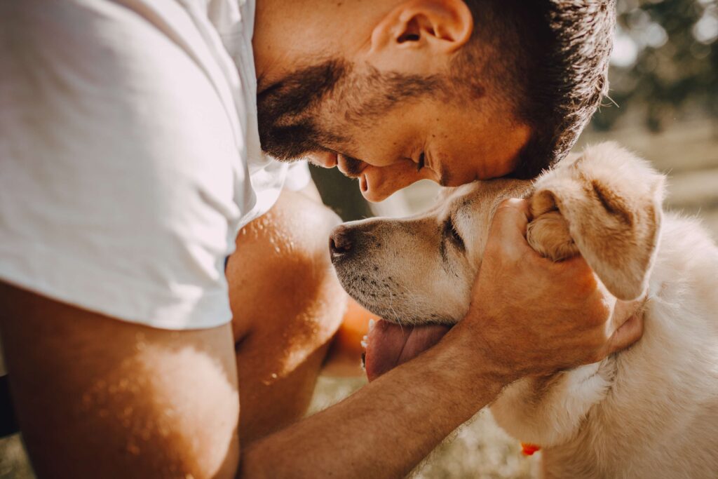 8 Signs of Cancer in Dogs That Owners Often Miss