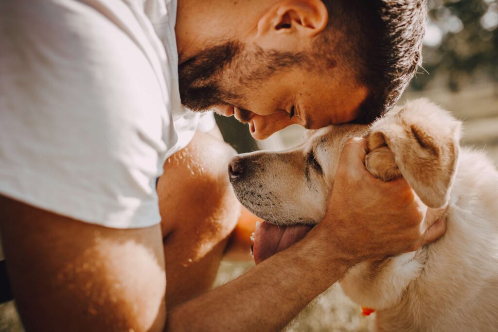 8 Signs of Cancer in Dogs That Owners Often Miss