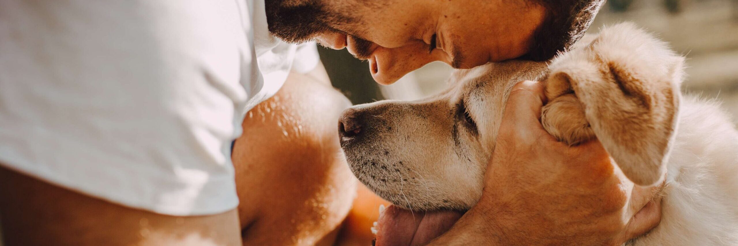 8 Signs of Cancer in Dogs That Owners Often Miss