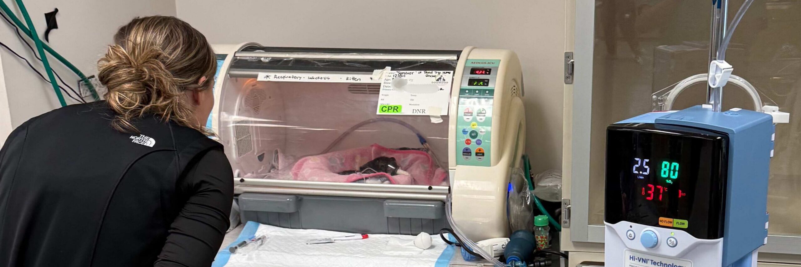 7 Things That Happen in Dogwood's Veterinary ICU & Why They Could Save Your Pet's Life