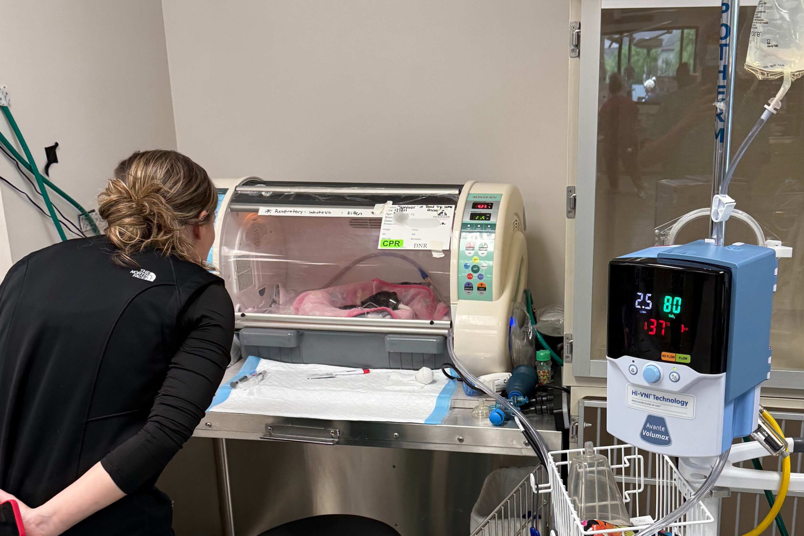 7 Things That Happen in Dogwood's Veterinary ICU & Why They Could Save Your Pet's Life