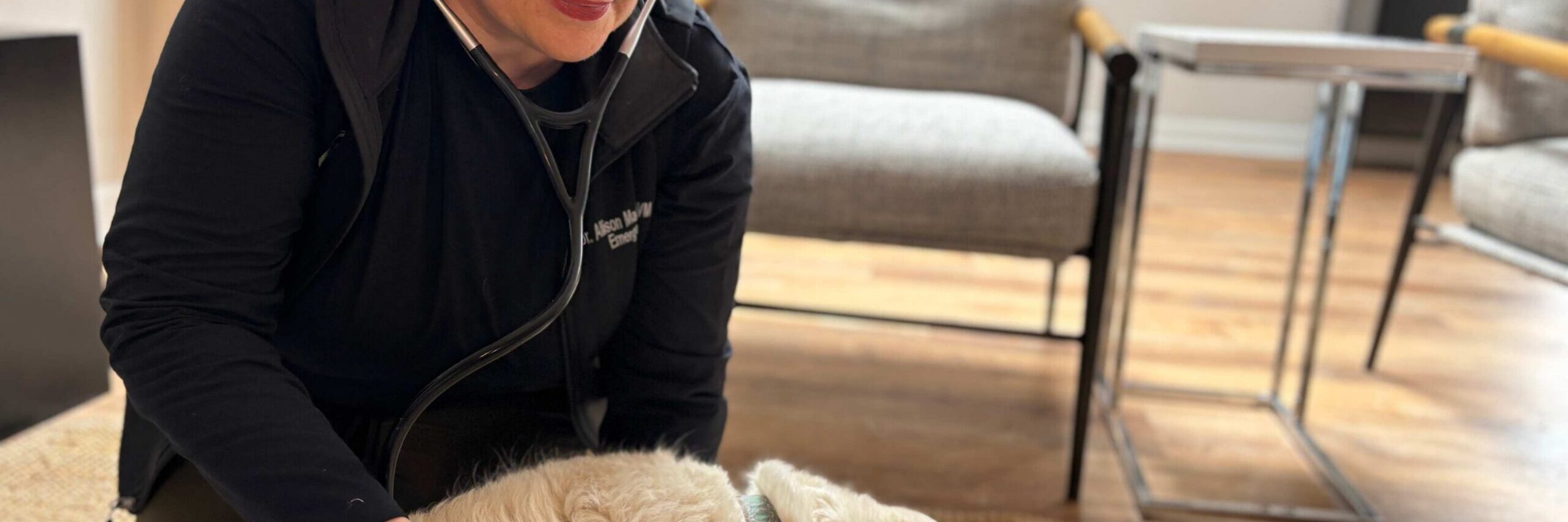 When Cure Isn't the Goal: Palliative Care for Pets
