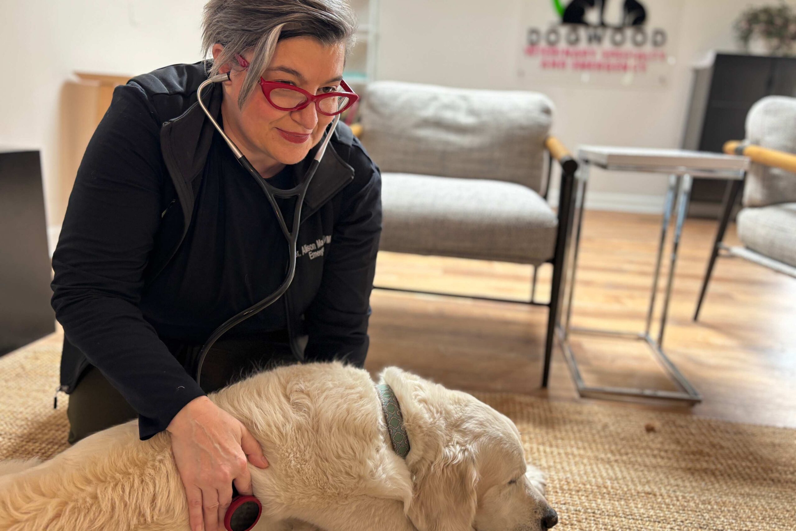 When Cure Isn't the Goal: Palliative Care for Pets
