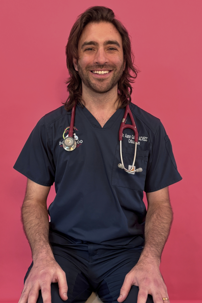 Dr. Aaron Galton