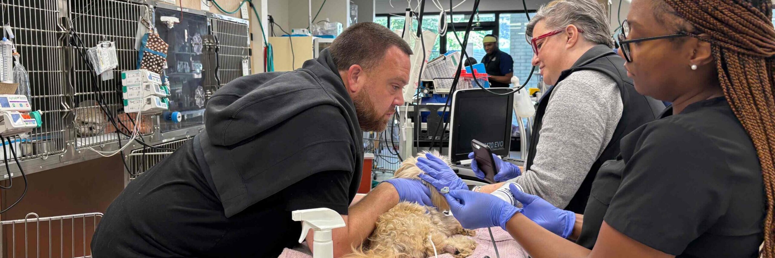 When to bring your pet to the emergency clinic: a guide for Atlanta pet owners.
